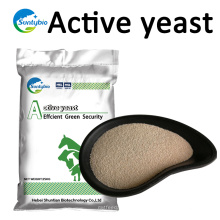 Suntybio 10Billion 20Billion Dry Yeast para alimentación animal